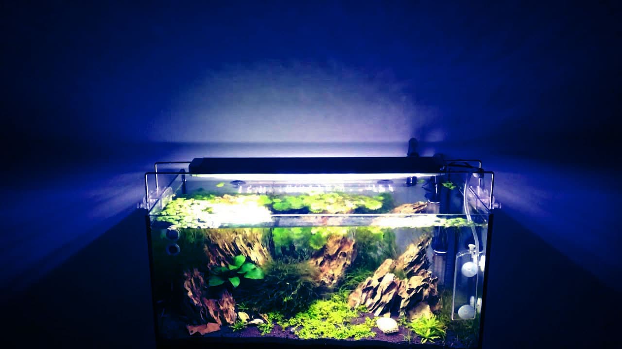 Aquarium-led-verlichting