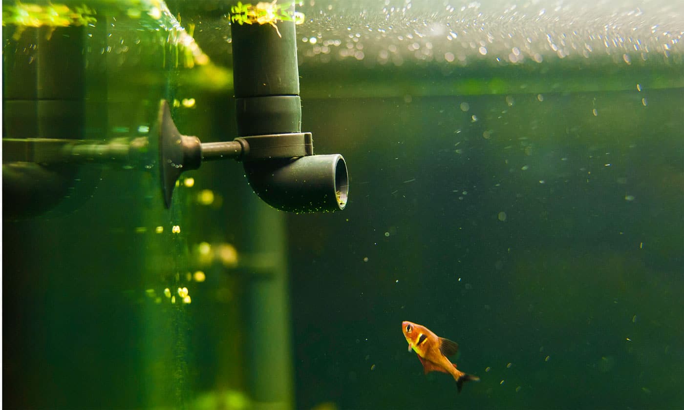aquarium-binnen-filter